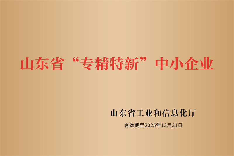 4.山東省專(zhuān)精特新企業(yè).jpg